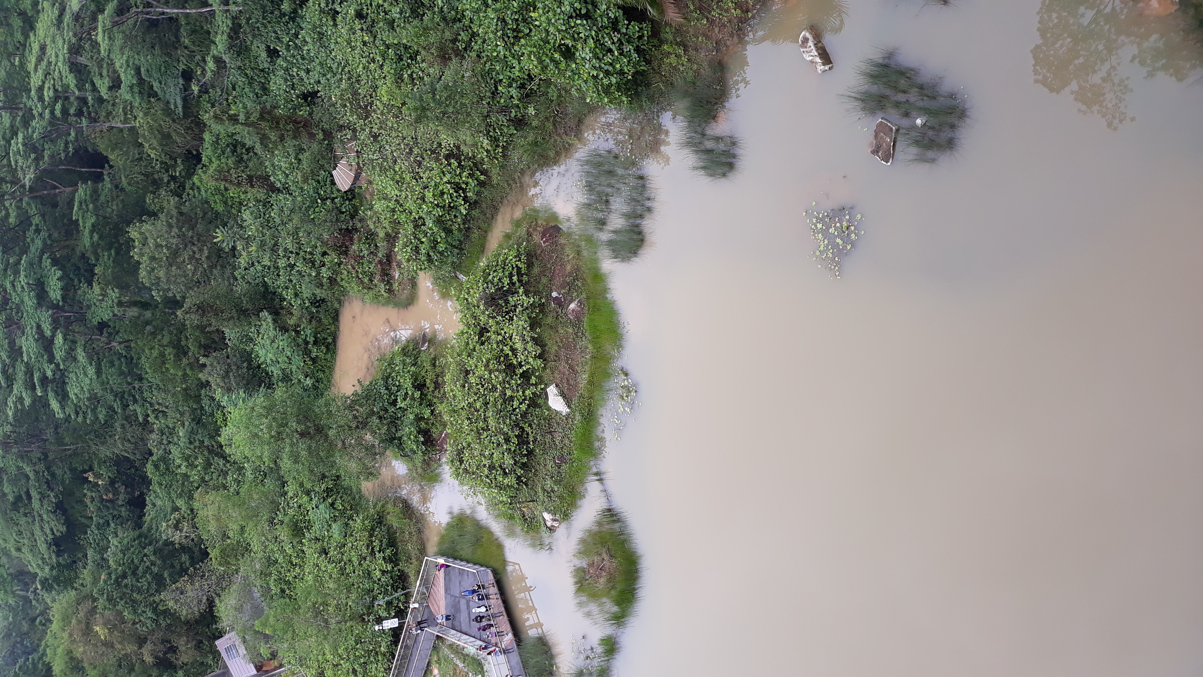 Rifle Range Nature Park View From Colugo Deck
