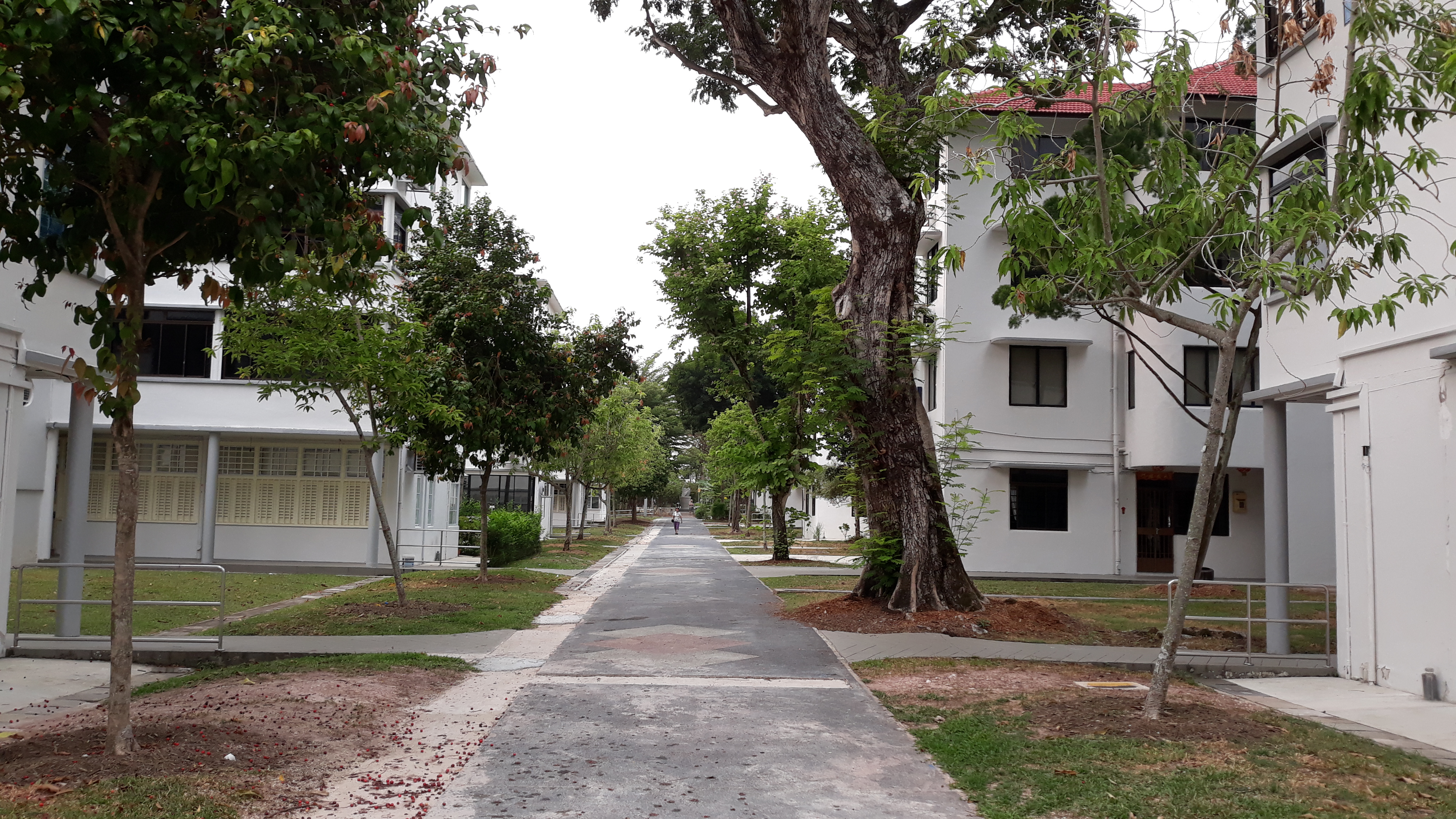 Tiong Bahru Flats