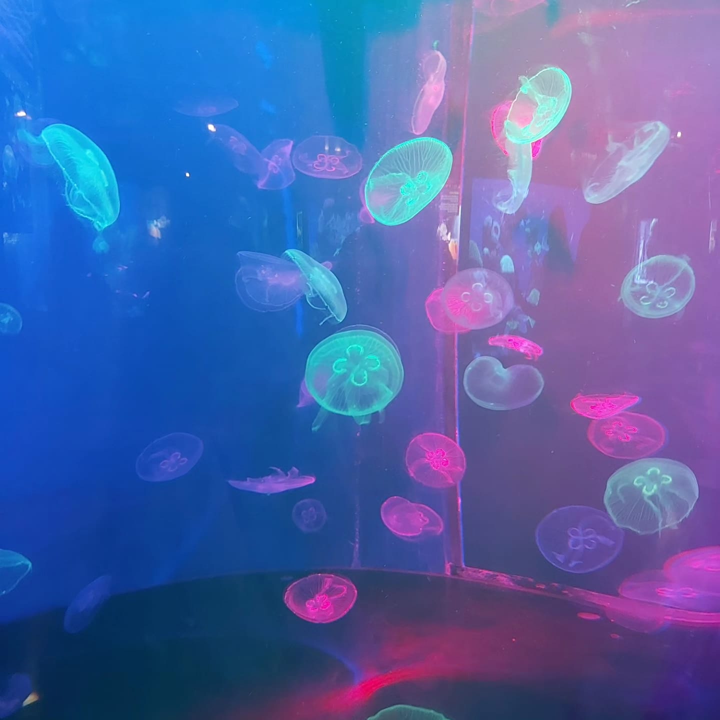 Aquarium